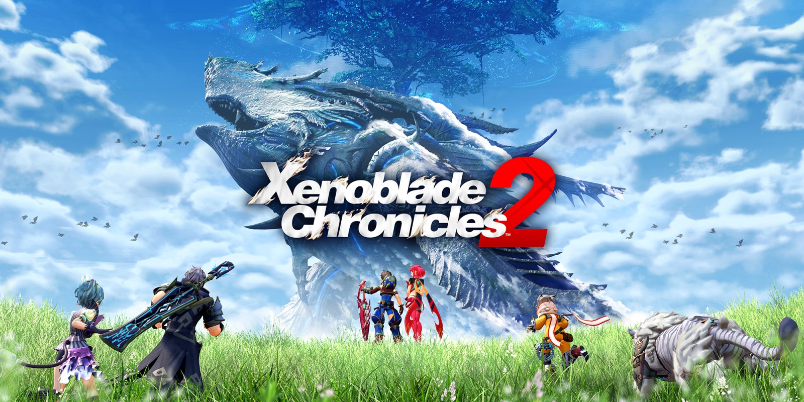 Xenoblade Chronicles 3 Gameplay  Nintendo Switch - Massive RPG 